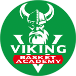 Viking Academy Logo